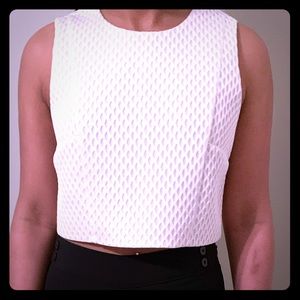 NWT Express crop top (S)